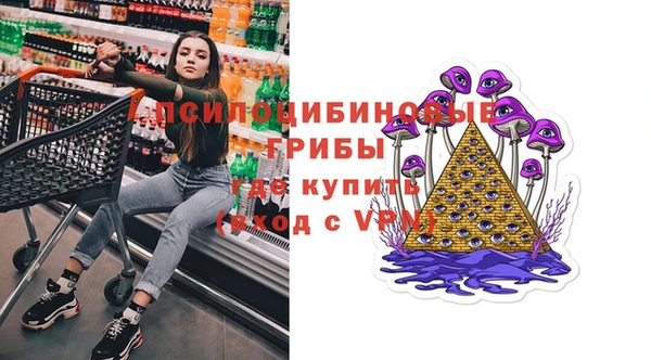 шишки Тутаев