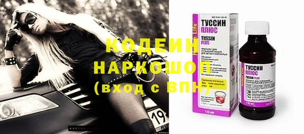PSILOCYBIN Тында